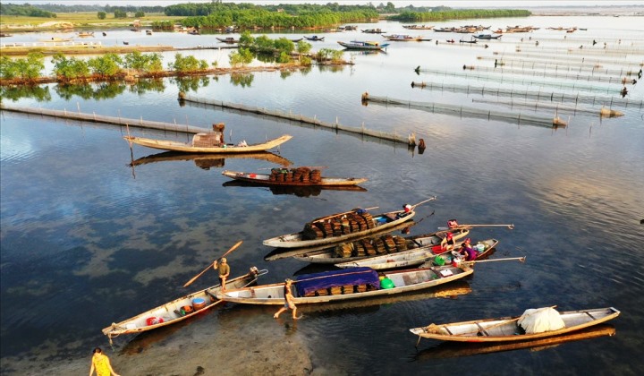 Thừa Thiên Huế: Triển khai các giải pháp về phát triển du lịch nông nghiệp, nông thôn trong xây dựng nông thôn mới - Ảnh 1.