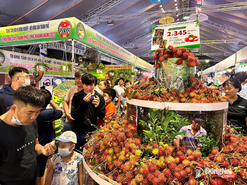 Khai mạc Tuần lễ Tôn vinh trái cây và sản phẩm OCOP tỉnh Đồng Nai năm 2023 - Ảnh 3.