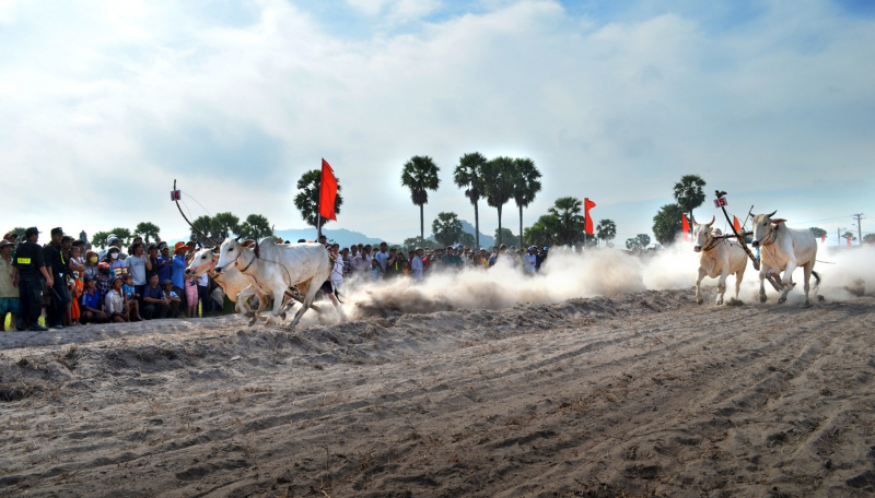 An Giang: Nhiều lễ hội, sự kiện sôi nổi, hấp dẫn diễn ra ở khu vực Châu Đốc, Tịnh Biên vào đầu tháng 06 - Ảnh 3.