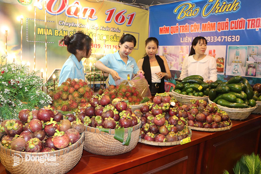 Đồng Nai: Lễ hội trái cây Long Khánh diễn ra từ 15 đến 23/6 - Ảnh 1.