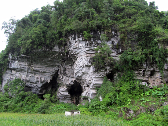 Cấp phép khai quật khảo cổ tại hang Nà Coóc, tỉnh Bắc Kạn - Ảnh 1.