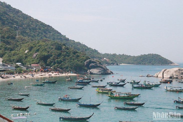 Quảng Nam tìm giải pháp phát triển du lịch biển - Ảnh 3.