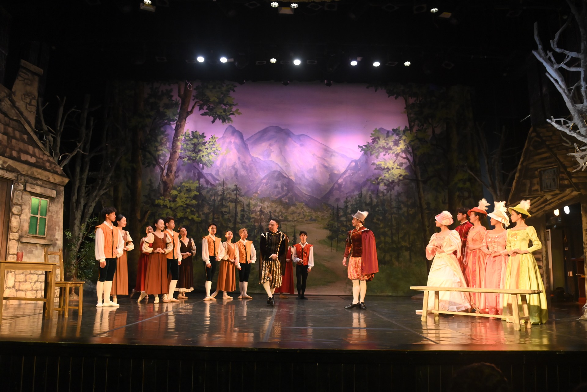 Tái trình diễn vũ kịch nổi tiếng &quot;Giselle&quot; trên sân khấu Việt Nam - Ảnh 1.