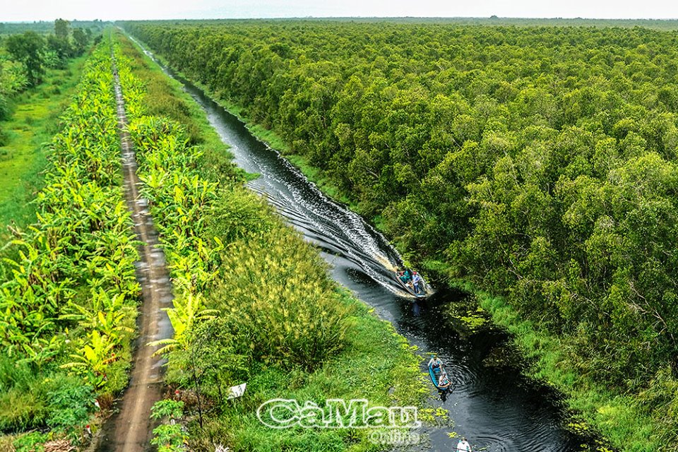 Cà Mau: Vực dậy du lịch U Minh Hạ - Ảnh 3.