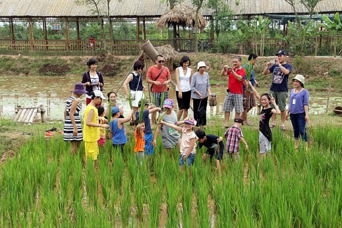 Thúc đẩy du lịch nông nghiệp, nông thôn trên địa bàn thành phố Hà Nội - Ảnh 1.