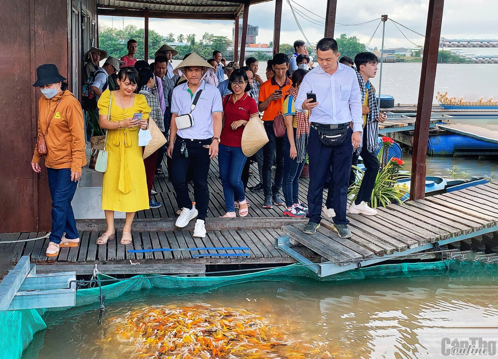 Cần Thơ tìm hướng phát triển du lịch nông nghiệp - Ảnh 1.