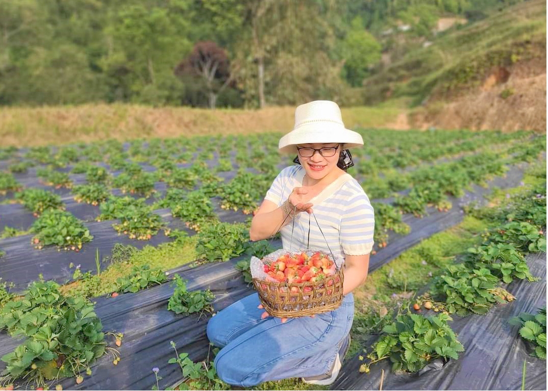 Hà Giang: Phát triển các sản phẩm nông nghiệp đặc trưng gắn với du lịch - Ảnh 2.