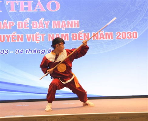 Đẩy mạnh sự phát triển võ cổ truyền Việt Nam - Ảnh 3.