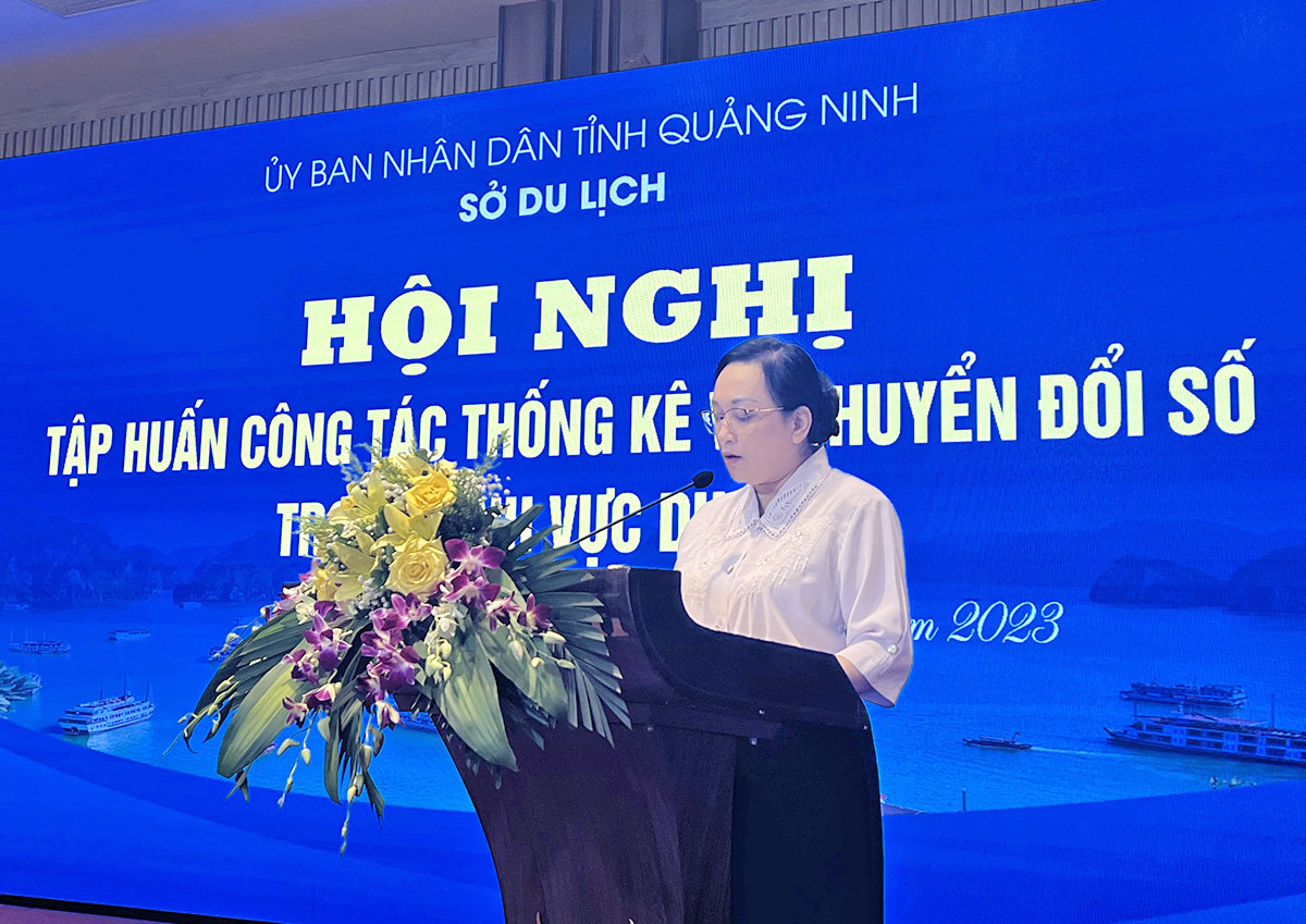 Trung tâm Thông tin du lịch (Cục Du lịch Quốc gia Việt Nam) hỗ trợ tập huấn công tác thống kê và chuyển đổi số trong du lịch tại Quảng Ninh - Ảnh 1.