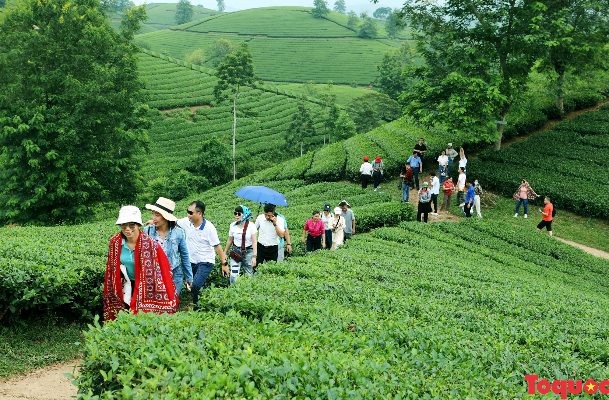 Đoàn khảo sát xây dựng, công bố sản phẩm du lịch Tây Bắc mở rộng năm 2023 tham quan tại tỉnh Phú Thọ - Ảnh 4.