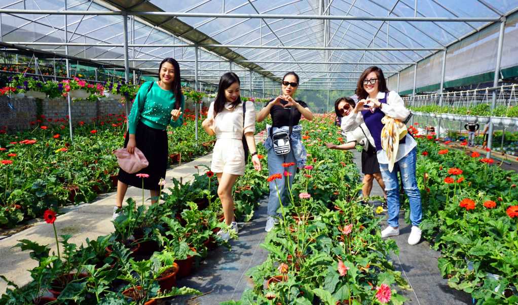 Quảng Ninh: Triển vọng từ du lịch nông nghiệp - Ảnh 2.