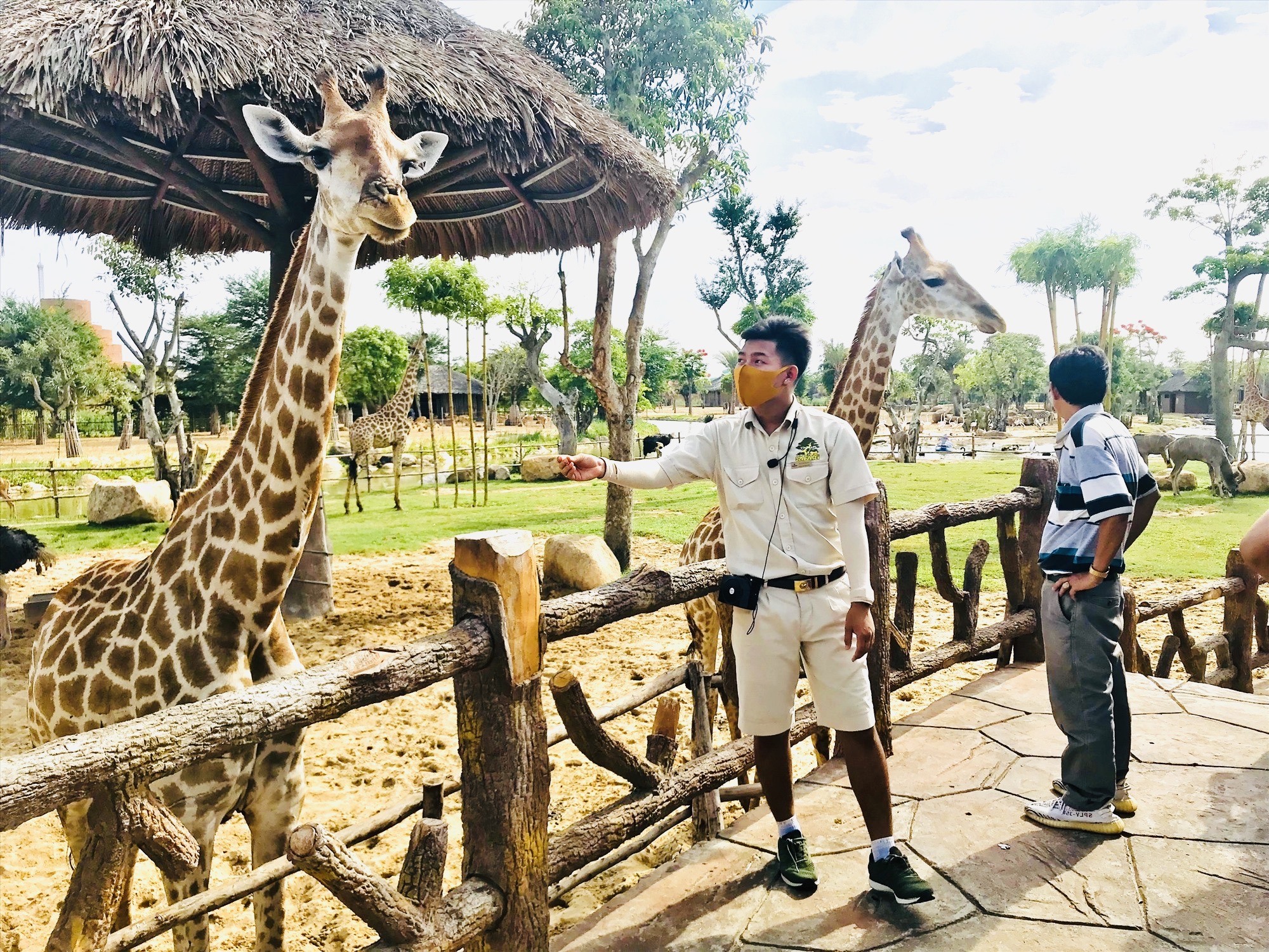 Quảng Nam: Thúc đẩy du lịch có trách nhiệm gắn với bảo tồn thiên nhiên và động vật hoang dã - Ảnh 2.