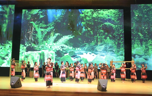 Khai mạc các hoạt động tại Ngày hội văn hóa các dân tộc miền Trung lần thứ IV - Ảnh 2.