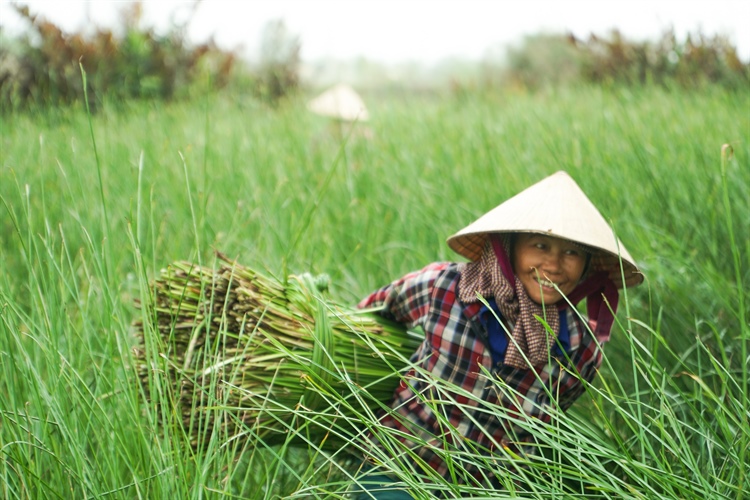 Phát triển du lịch nông thôn từ văn hoá bản địa - Ảnh 2.