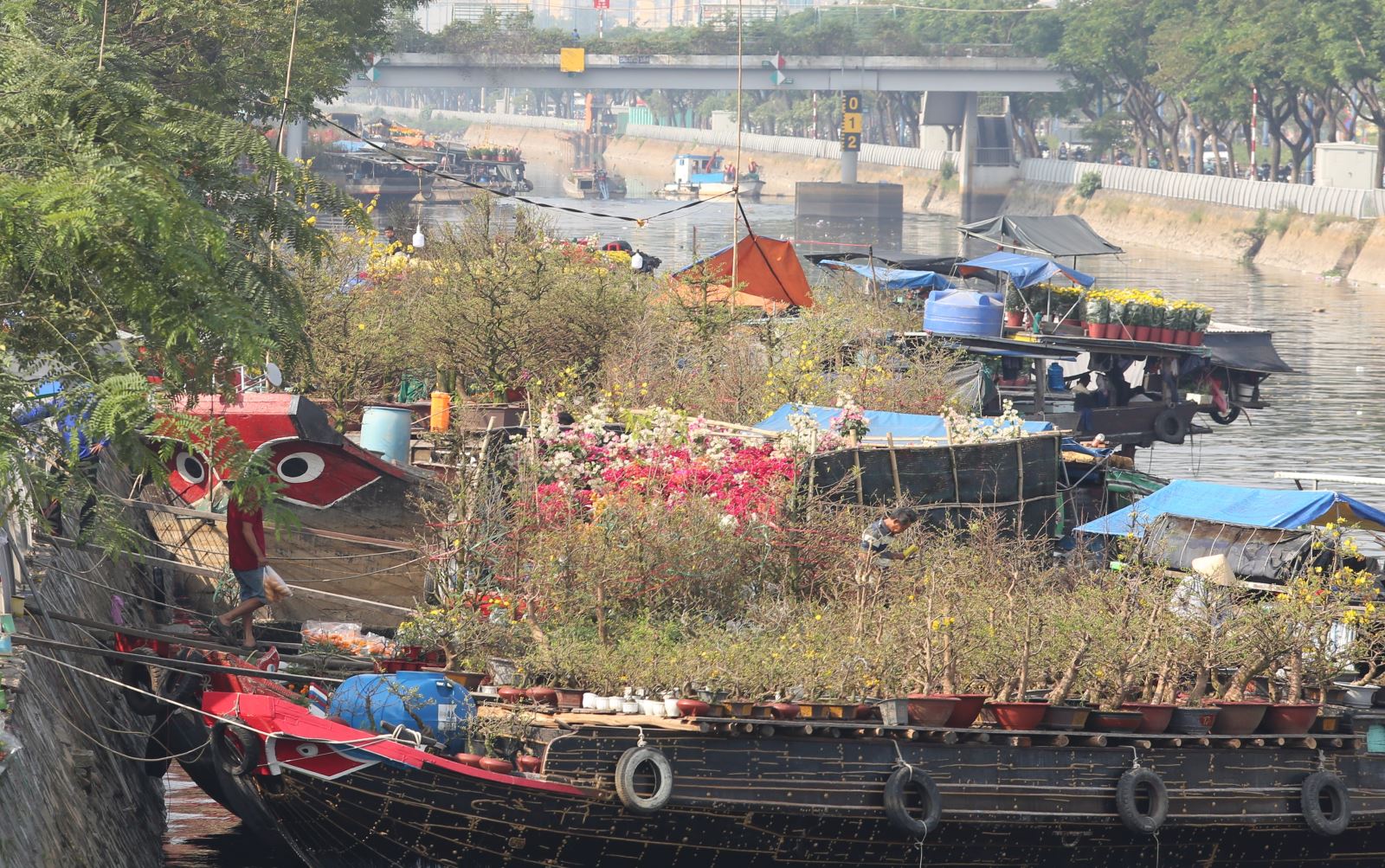 TP Hồ Chí Minh: Nhiều nét mới tại chợ hoa Xuân 'trên bến dưới thuyền' năm 2024 - Ảnh 1.