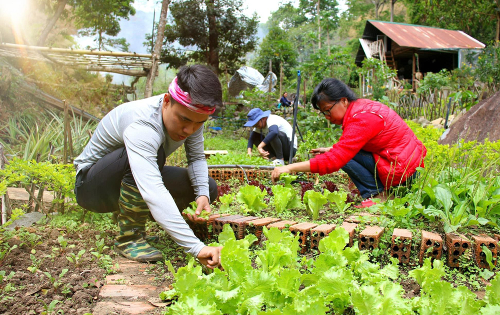 Đà Lạt (Lâm Đồng): Du lịch chữa lành - Nhiều tiềm năng để phát triển - Ảnh 2.