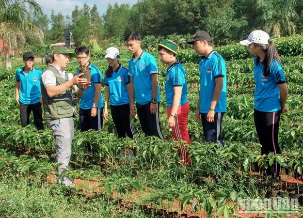 Đồng Nai thông qua đề án gần 1.000 tỷ đồng phát triển du lịch sinh thái rừng - Ảnh 1.