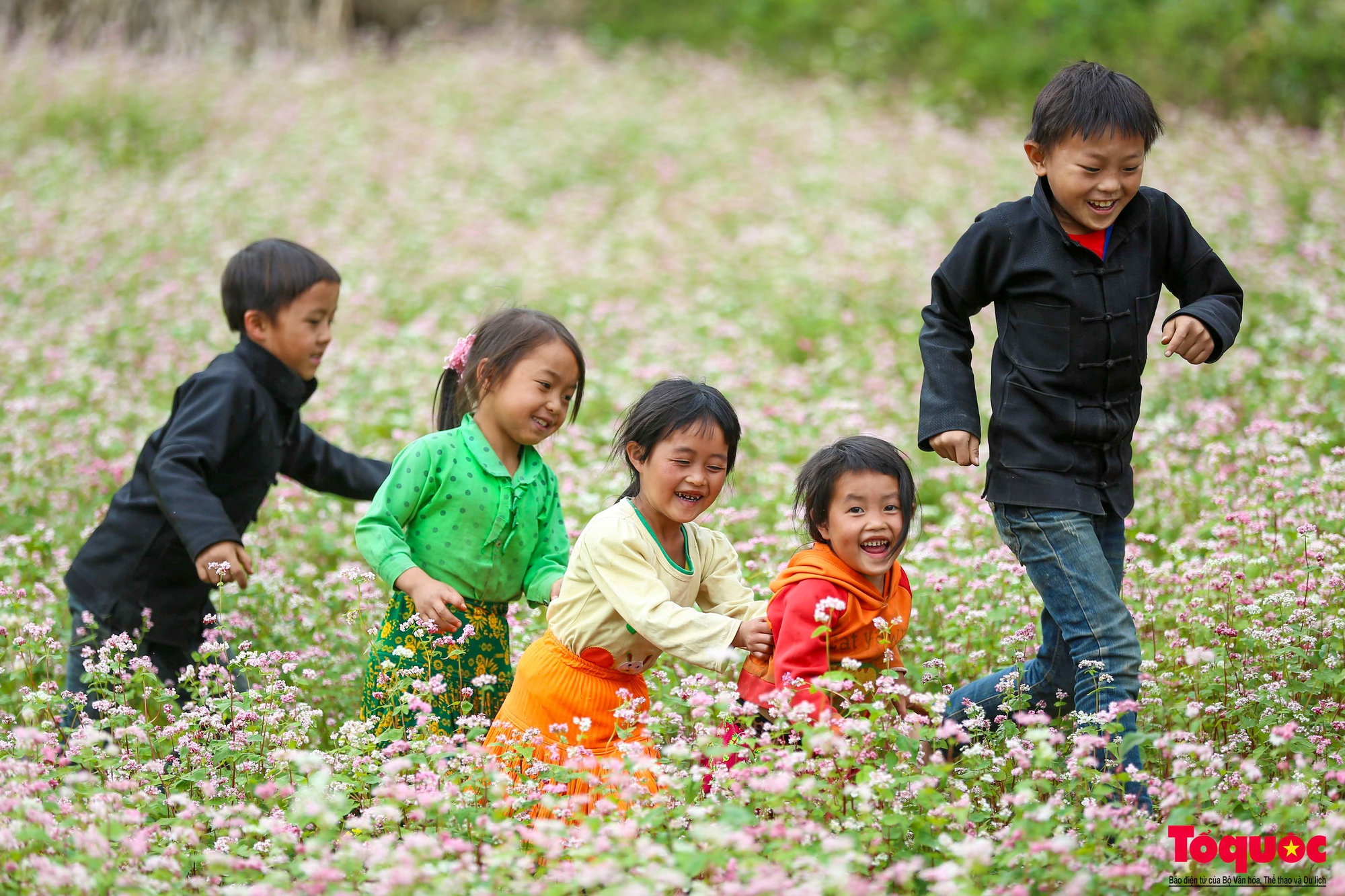 Hà Giang sẵn sàng đón du khách trong mùa hoa tam giác mạch đẹp nhất trong năm - Ảnh 3.