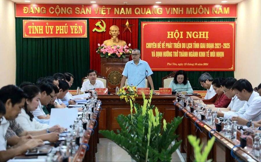 Phú Yên phát triển du lịch thành ngành kinh tế mũi nhọn - Ảnh 1.