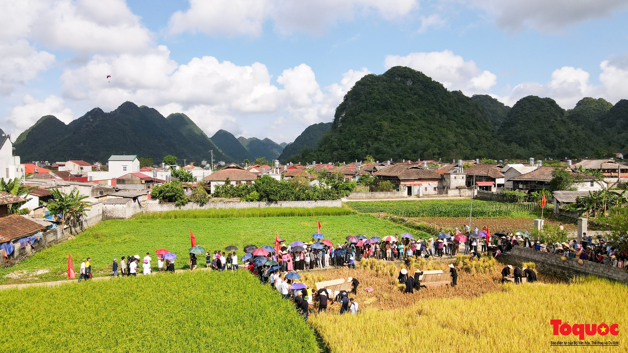 Lên Bắc Sơn xem đồng bào Tày thi gặt lúa bằng công cụ thô sơ - Ảnh 1.