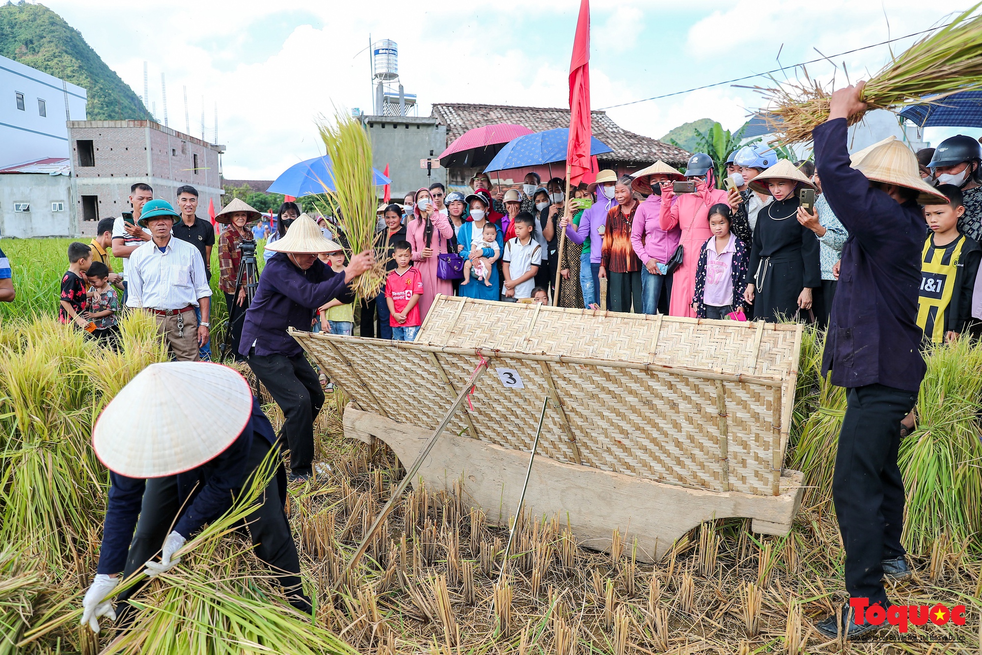 Lên Bắc Sơn xem đồng bào Tày thi gặt lúa bằng công cụ thô sơ - Ảnh 3.