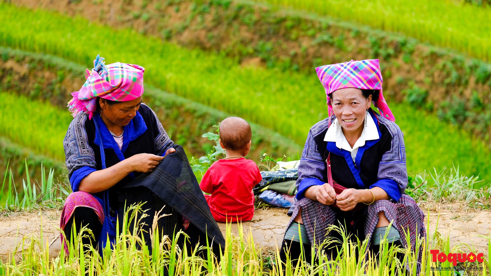 Mùa vàng rực rỡ trên những thửa ruộng bậc thang ở Mù Cang Chải - Ảnh 13.