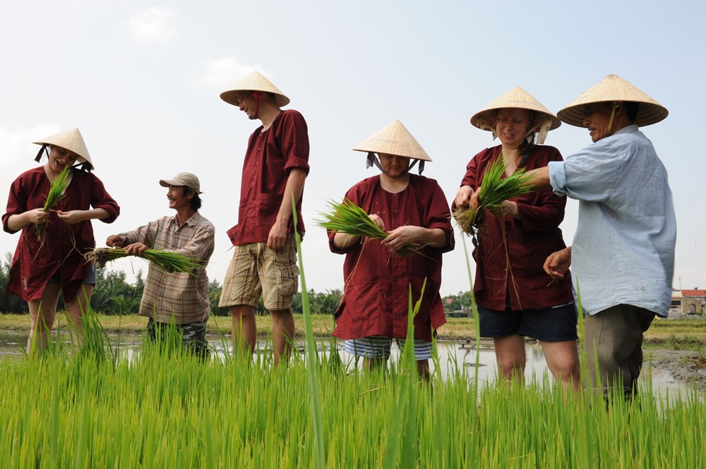 Quảng Nam: Bảo tồn văn hóa nông thôn trong phát triển du lịch cộng đồng - Ảnh 1.