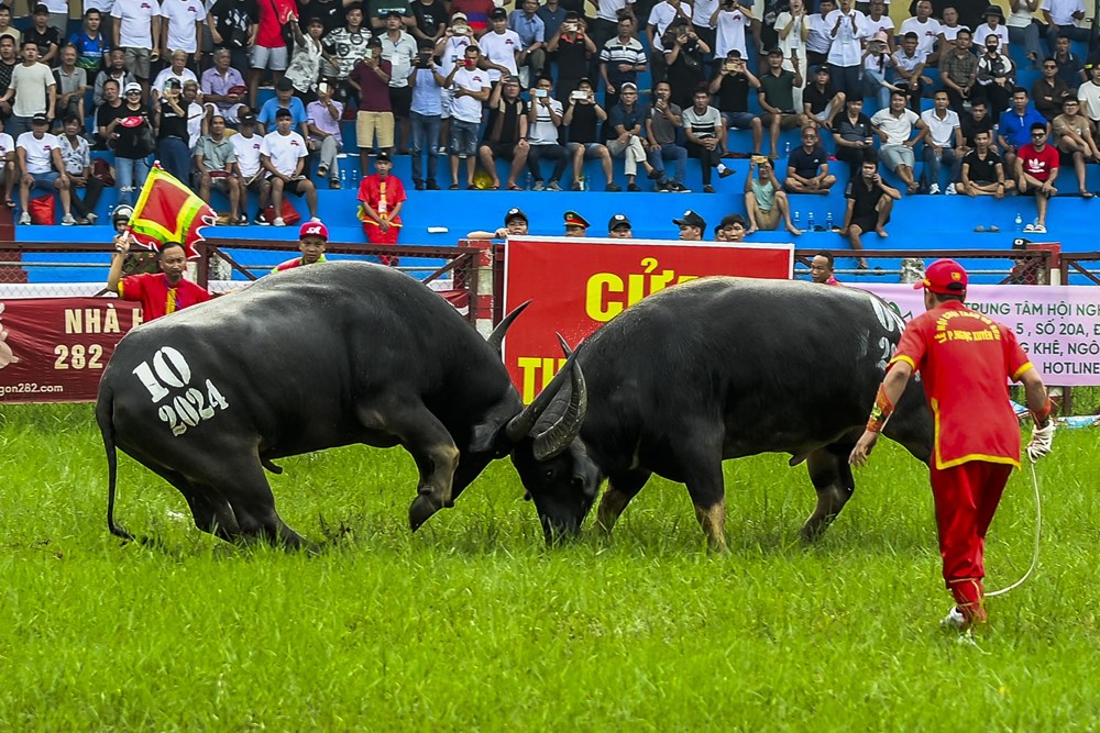 Phòng, chống vi phạm pháp luật trong hoạt động VHTTDL: Chú trọng những giải pháp trọng tâm, trọng điểm - Ảnh 1.