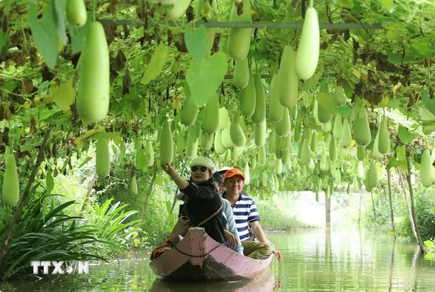 Du lịch nông nghiệp, nông thôn - Xu hướng đang được ưa chuộng - Ảnh 1. Du lịch nông nghiệp, nông thôn - Xu hướng đang được ưa chuộng - Ảnh 1.