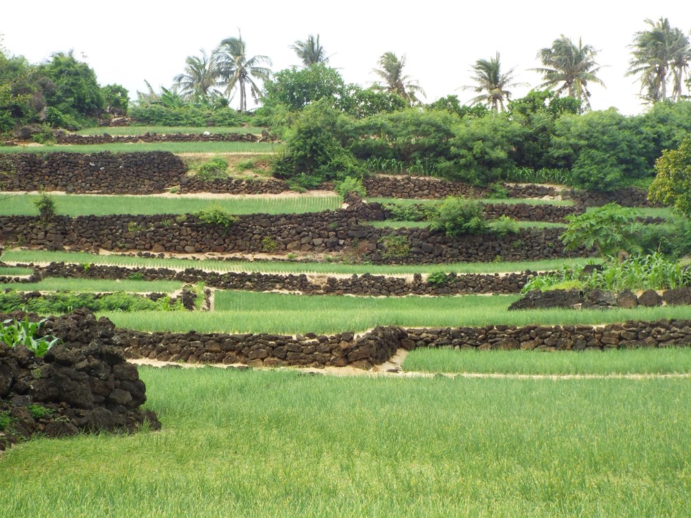 Đa dạng sản phẩm du lịch địa chất núi lửa ở Quảng Ngãi - Ảnh 5.