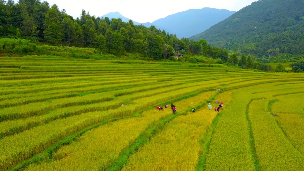 Quảng Ninh: Phát triển du lịch tại vùng Đông Bắc - Ảnh 1.