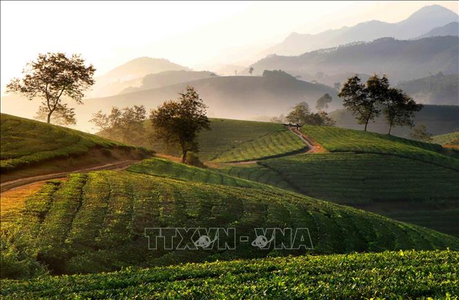 Phú Thọ: Cơ hội phát triển du lịch từ Famtrip, Presstrip - Ảnh 1.