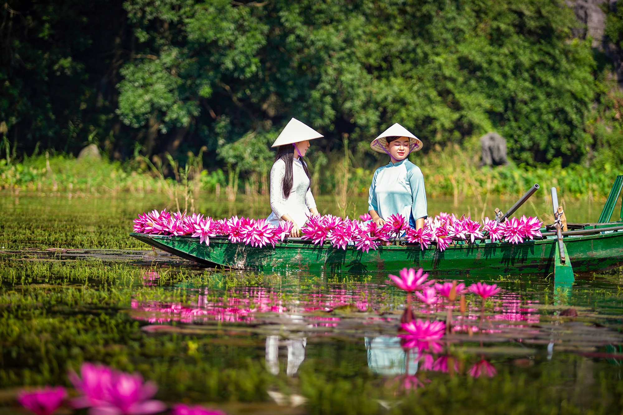 Nao lòng vẻ đẹp mùa hoa súng ở Khu du lịch Tam Cốc - Ảnh 9.