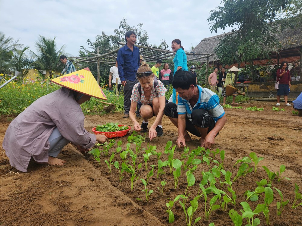 Quảng Nam: Giữ xanh làng nghề, phát triển du lịch nông thôn bền vững - Ảnh 5.