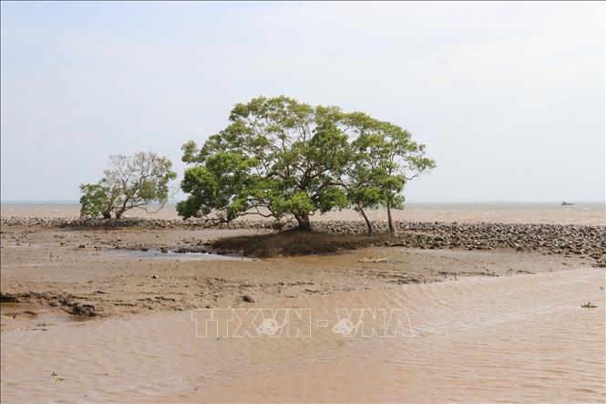 Tiền Giang đa dạng các tuyến du lịch để thu hút du khách - Ảnh 2.