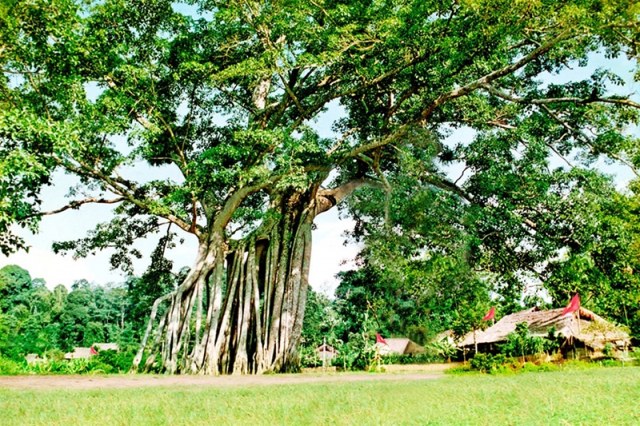 Tuyên Quang: Phát huy giá trị di tích Quốc gia đặc biệt Tân Trào gắn với phát triển Du lịch - Ảnh 1.