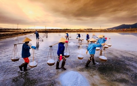 Bạc Liêu: Lần đầu tiên sẽ diễn ra Festival nghề muối Việt Nam - Ảnh 1.