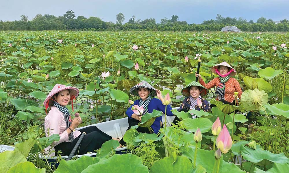 Đồng Tháp chú trọng phát triển du lịch xanh - Ảnh 1.