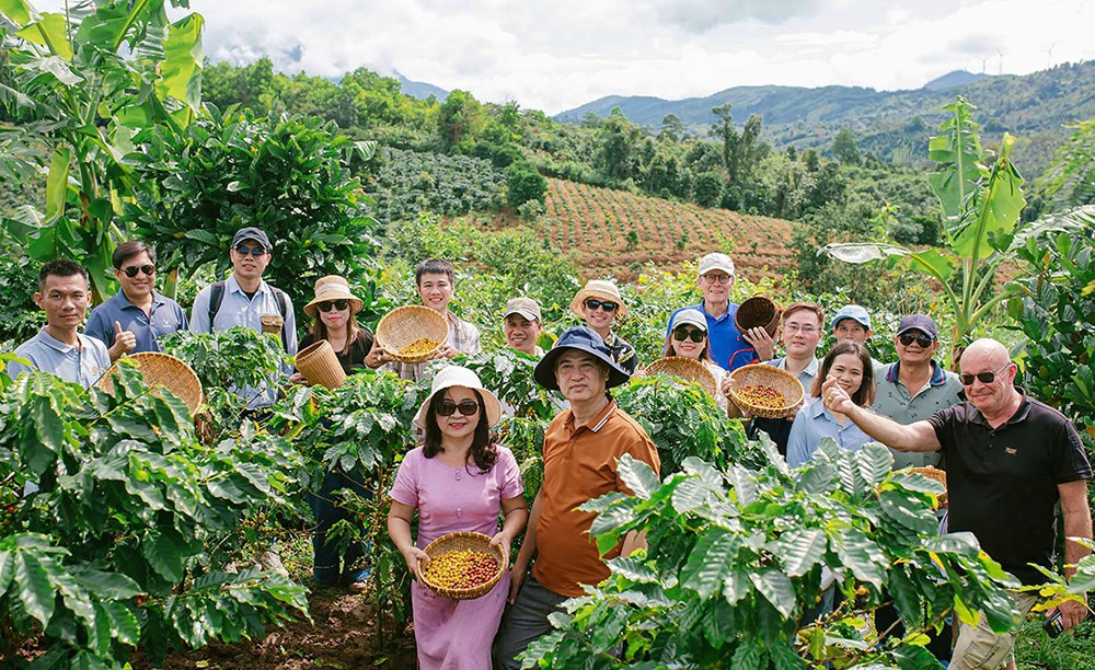 Quảng Trị: Khai thác tiềm năng phát triển du lịch nông thôn - Ảnh 2.