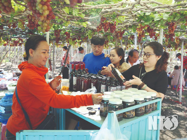 Ninh Thuận: Đột phá ngành “công nghiệp không khói” - Ảnh 2.