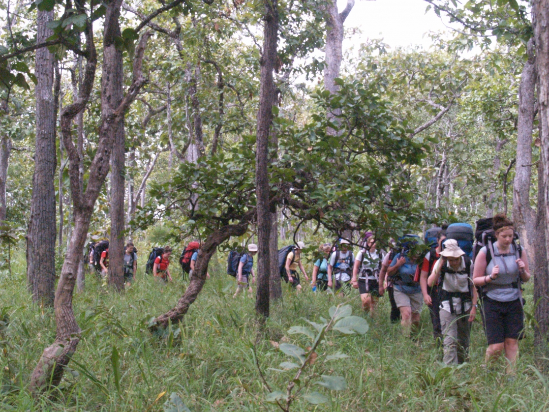 Đắk Lắk: Định vị cho loại hình du lịch với rừng - Ảnh 1.