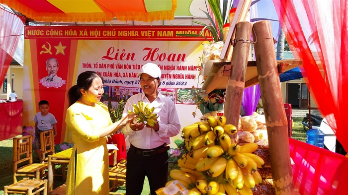 Quảng Ngãi: Sắp diễn ra liên hoan sản phẩm, ẩm thực OCOP và không gian du lịch nông thôn, du lịch cộng đồng - Ảnh 1.