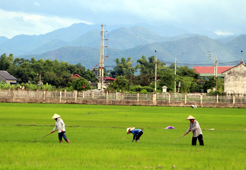 “Cú hích” cho Điện Biên bứt phá - Ảnh 1.