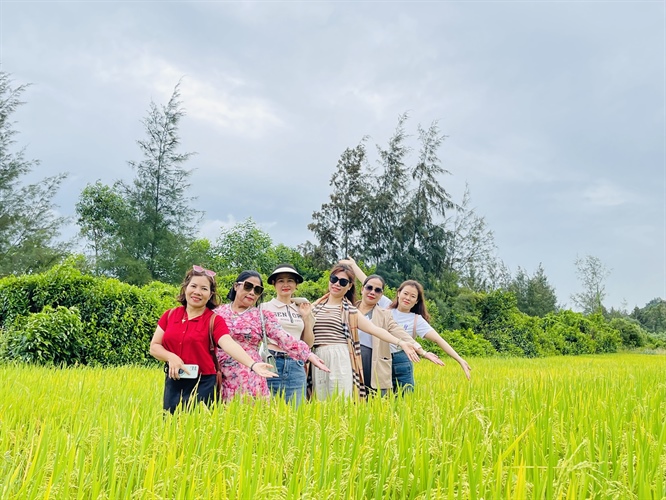 Quảng Ngãi: Tìm cách khai thác “mỏ vàng” phát triển du lịch nông thôn theo hướng bền vững - Ảnh 1.