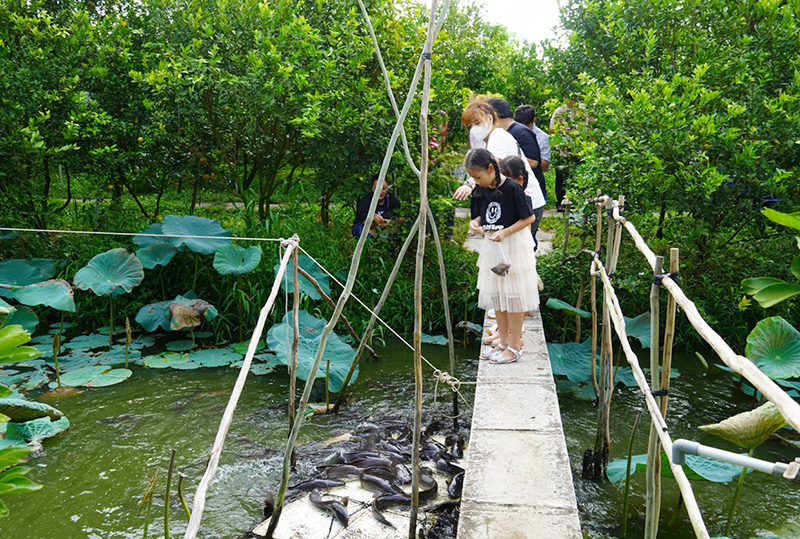 Đồng Tháp: Khai thác tiềm năng, đưa du lịch trở thành ngành kinh tế quan trọng - Ảnh 1.