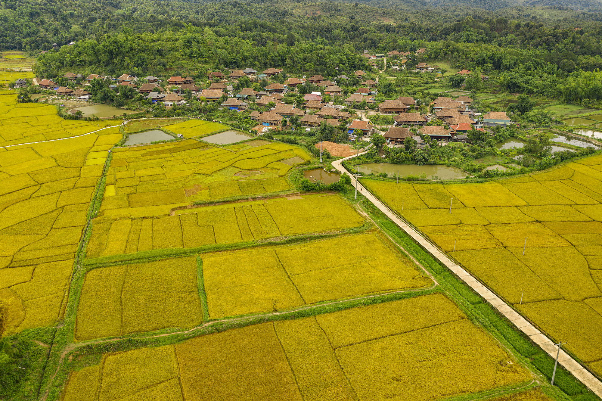 Hội tụ di sản và danh thắng Việt Nam trong triển lãm tại Điện Biên - Ảnh 2.