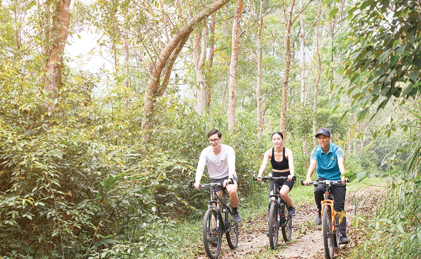 Thừa Thiên Huế: Đón đầu mùa cao điểm du lịch - Ảnh 1.