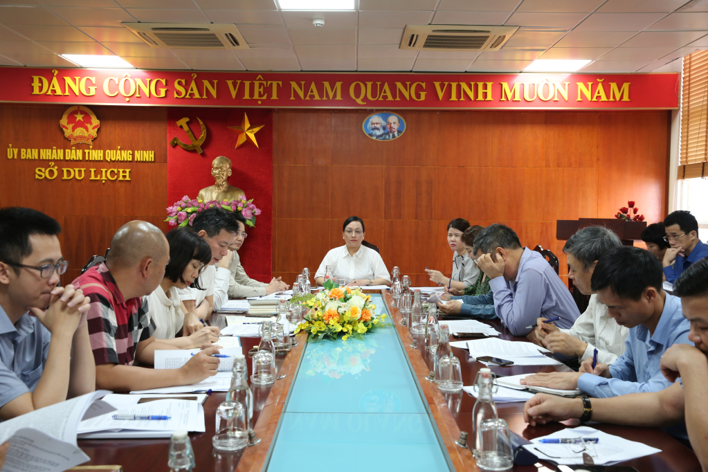 Đề xuất nhiều chính sách ưu đãi đối với khách du lịch đến Quảng Ninh qua Cảng hàng không Quốc tế Vân Đồn - Ảnh 1.