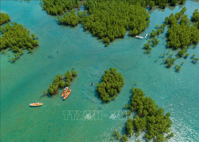 Khánh Hòa: Bảo vệ vịnh Nha Trang để phát triển du lịch bền vững - Ảnh 2.