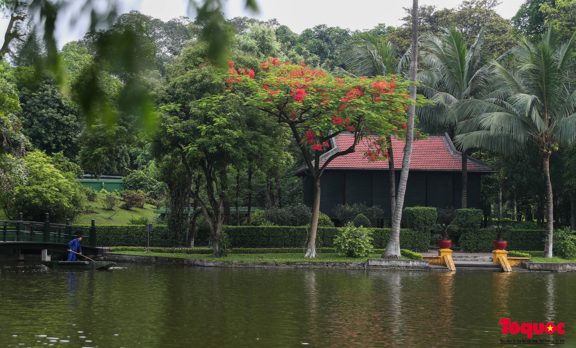 Sáng tháng 5 cùng những người thầm lặng chăm sóc Khu di tích Chủ tịch Hồ Chí Minh - Ảnh 17.